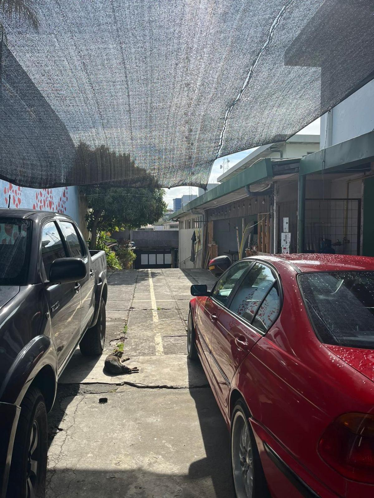 Lost In San Jose Hotel & Hostel Exterior foto